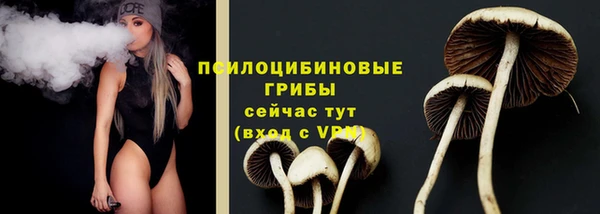 сатива Абинск