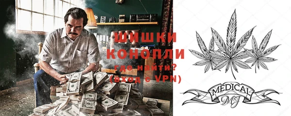 сатива Абинск