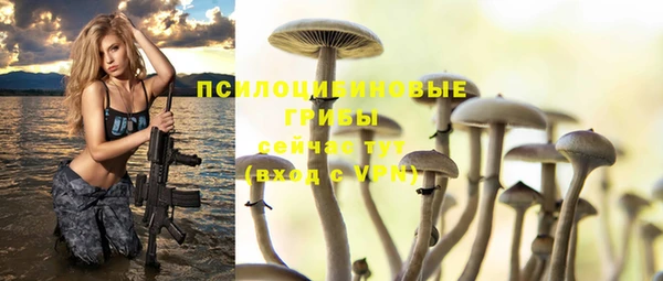 сатива Абинск