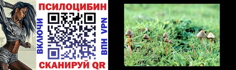 Галлюциногенные грибы Cubensis  где можно купить   Нефтеюганск 
