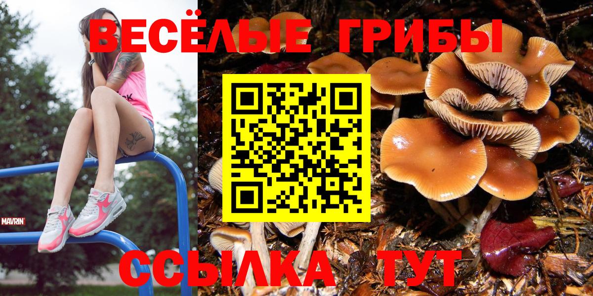 Нефтеюганск  купить  сайты  Вход с VPN  Галлюциногенные грибы Cubensis 
